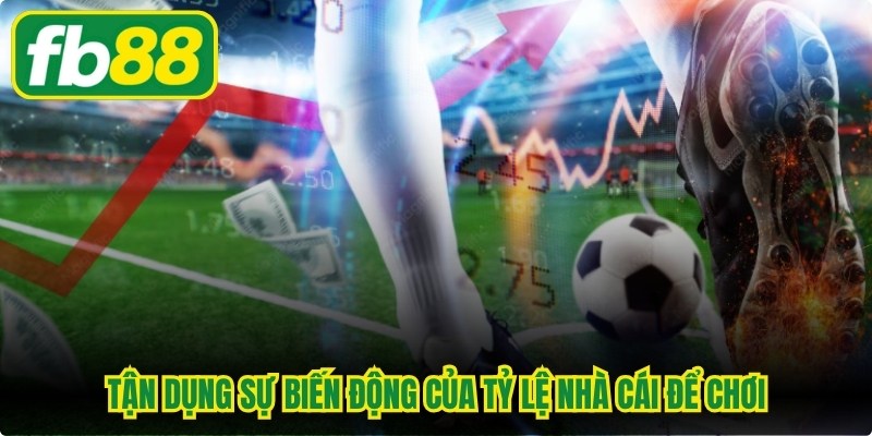 Tận dụng sự biến động của tỷ lệ nhà cái để chơi