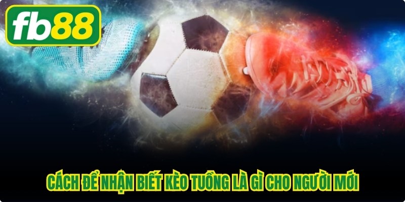 Cách để nhận biết kèo tuồng là gì cho người mới