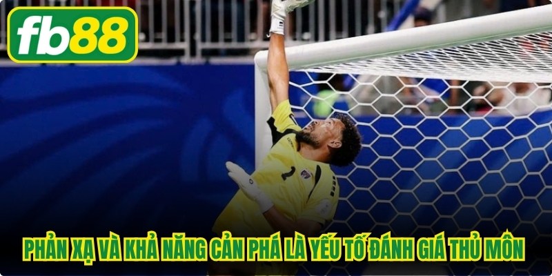 Phản xạ và khả năng cản phá là yếu tố đánh giá thủ môn vĩ đại nhất thế giới 