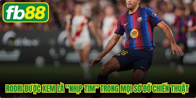 Rodri được xem là "nhịp tim" trong mọi sơ đồ chiến thuật chung