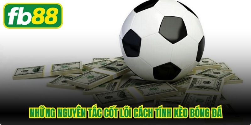 Những nguyên tắc cốt lõi cách tính kèo bóng đá