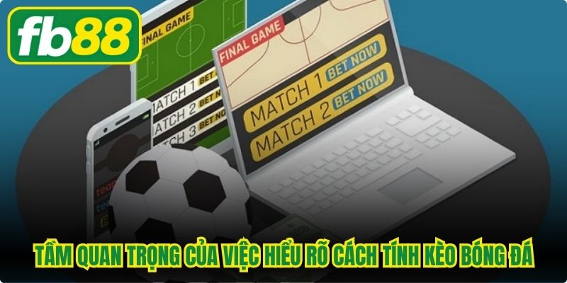 Tầm quan trọng của việc hiểu rõ cách tính kèo bóng đá