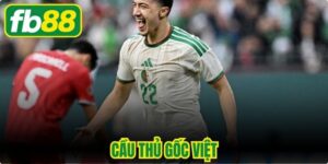 Cầu Thủ Gốc Việt