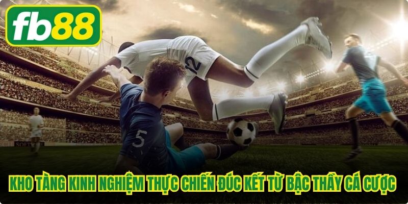 Kho tàng kinh nghiệm thực chiến đúc kết từ các bậc thầy cá cược kèo play off 