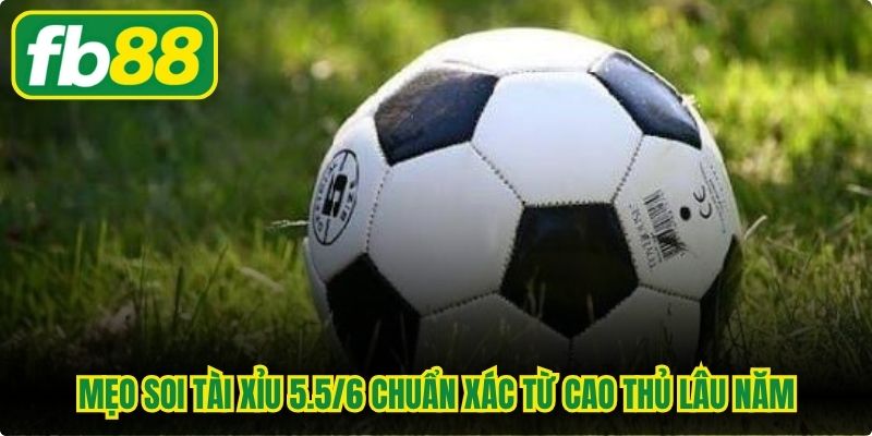 Mẹo soi Tài xỉu 5.5/6 chuẩn xác từ cao thủ lâu năm