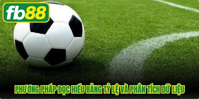 Phương pháp đọc hiểu bảng tỷ lệ và phân tích dữ liệu
