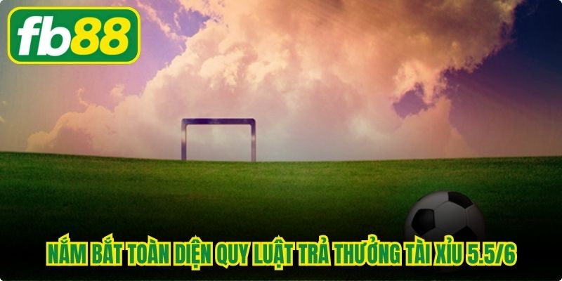 Nắm bắt toàn diện quy luật trả thưởng Tài xỉu 5.5/6